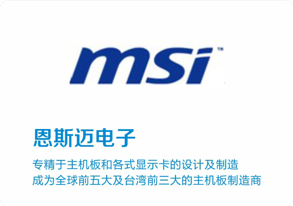 恩迈斯电子